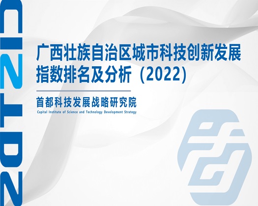 免费看片啊啊啊流水【成果发布】广西壮族自治区城市科技创新发展指数排名及分析（2022）